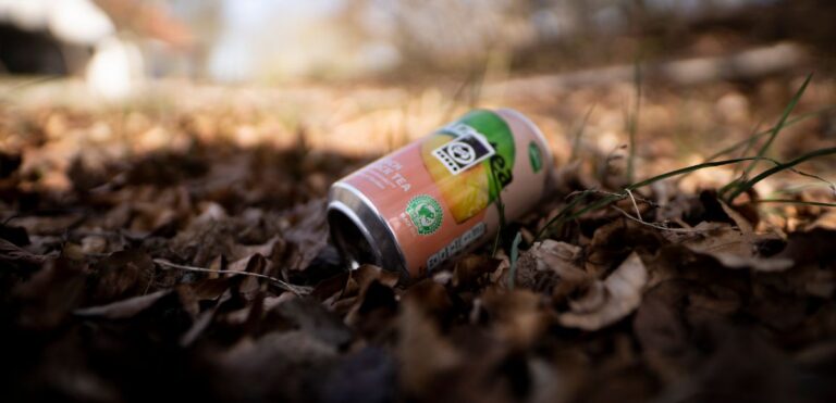 Gode klimatiltag af borgerne